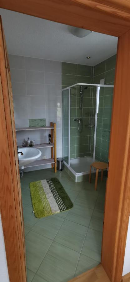 Villa Bora Moscenicka Draga Bed&Breakfast モスチャニッセ エクステリア 写真